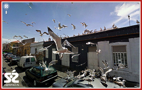 Необычные кадры из Google Street View