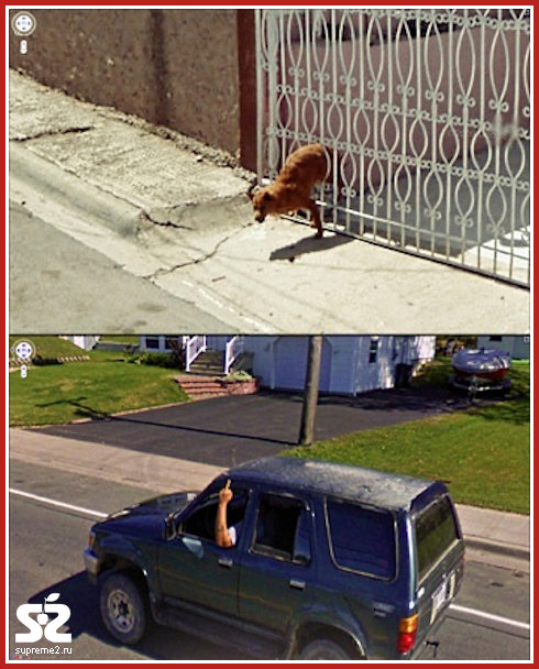Необычные кадры из Google Street View