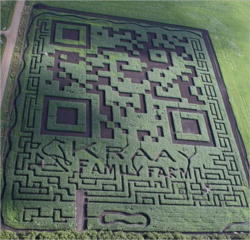 Кукурузный QR-код был занесен в книгу рекордов Гиннесса
