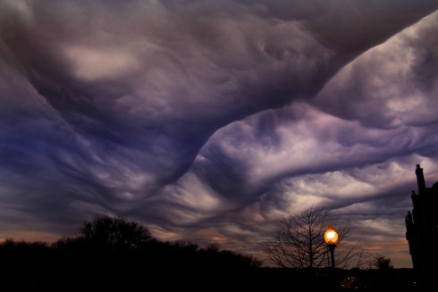 Undulatus asperatus – новый вид облаков