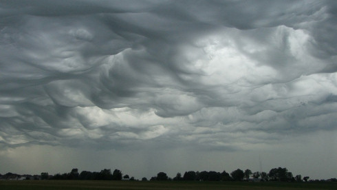 Undulatus asperatus – новый вид облаков