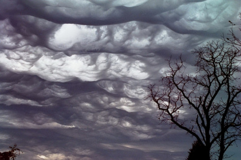 Undulatus asperatus – новый вид облаков