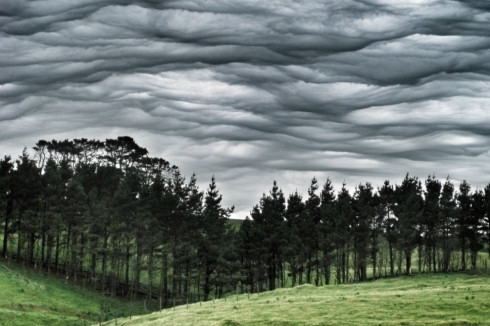 Undulatus asperatus – новый вид облаков