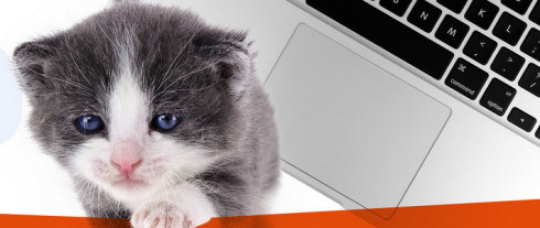 MacBook Pro 13,3: чинить нельзя, выбрасывать…
