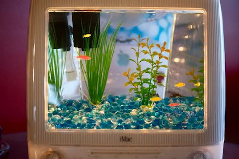 Компьютер Macintosh превращается в аквариум