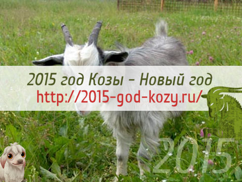 2015 год Козы - Новый год