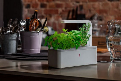 Smart Herb Garden – автоматический огород для города