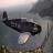 Wargaming начинает открытое бета-тестирование World of Warplanes