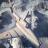 Открытое тестирование World of Warplanes