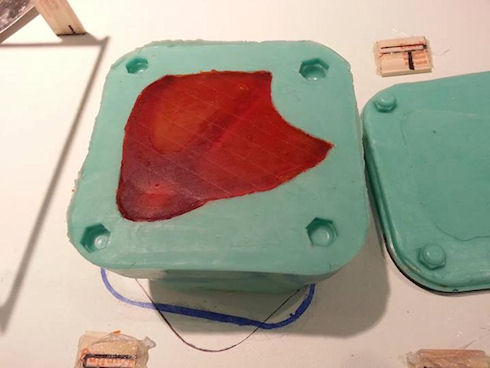 Протез лапки для гуся напечатали на 3D-принтере