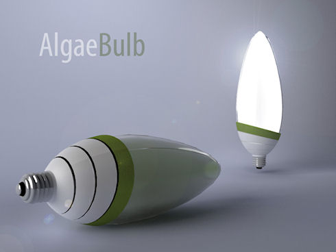 AlgaeBulb – светильник с «освежителем» воздуха