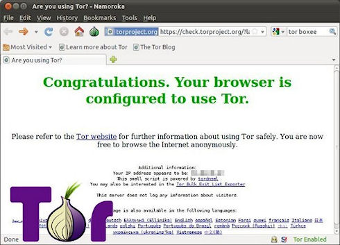 В браузере Tor выявлена уязвимость критического уровня