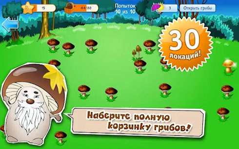 «Грибники» - грибной чемпионат открыт!