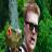 Gearbox Software подала в суд на 3D Realms за использование бренда Duke Nukem