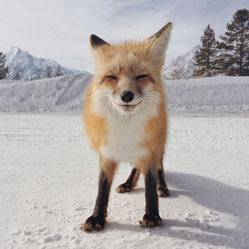 Лучшие iPhone-фотографы получили награды iPhone Photography Awards