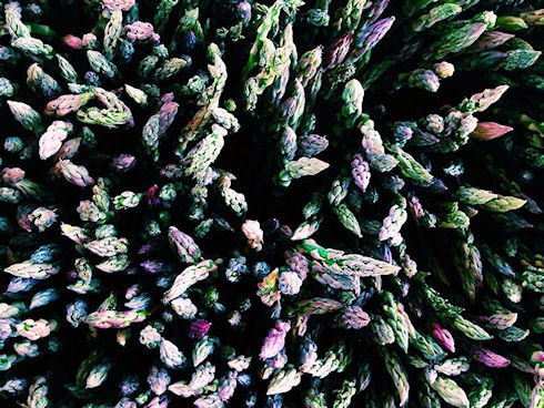 Лучшие iPhone-фотографы получили награды iPhone Photography Awards