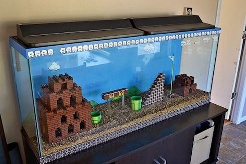 Аквариум в стиле «Super Mario»