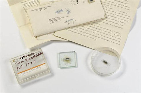 Первый микрочип выставлен на аукцион за 1 млн долларов
