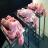 SynDaver создаст Искусственного пациента в 2014 году