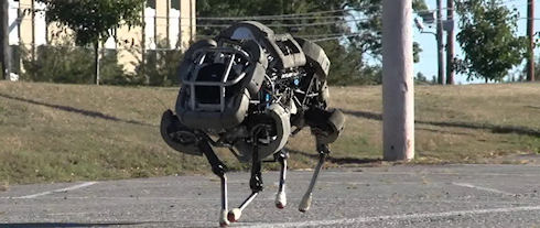 Google купила Boston Dynamics, создавшую робомула