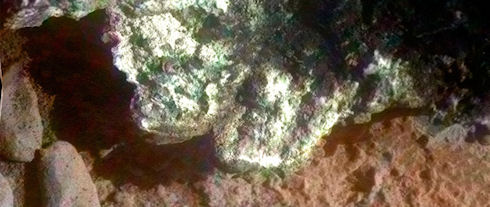 На фото с марсохода Opportunity обнаружен непонятный объект