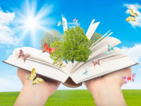 Давайте почитаем – знакомство с книгой