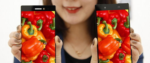 5,3-дюймовый дисплей с тончайшей рамкой от LG