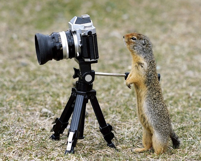 Почему фотографам нужен штатив?
