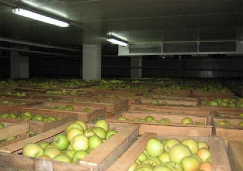Хранение продукции в газовых средах