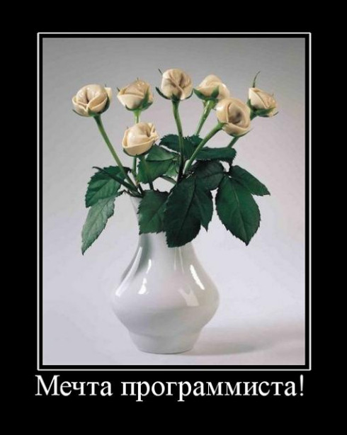 22 самых смешных демотиватора про программистов