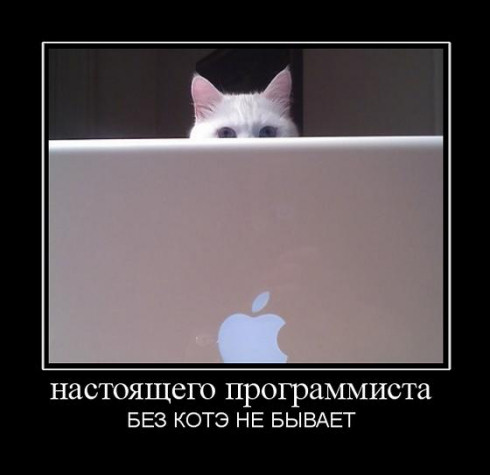 22 самых смешных демотиватора про программистов
